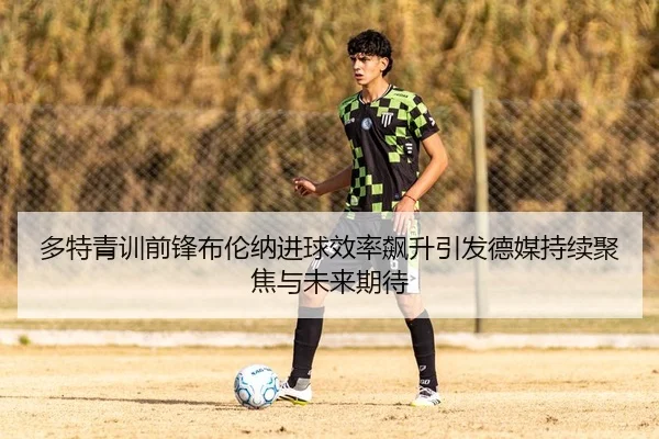 多特青训前锋布伦纳进球效率飙升引发德媒持续聚焦与未来期待